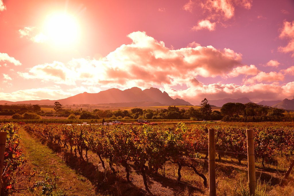 Stellenbosch