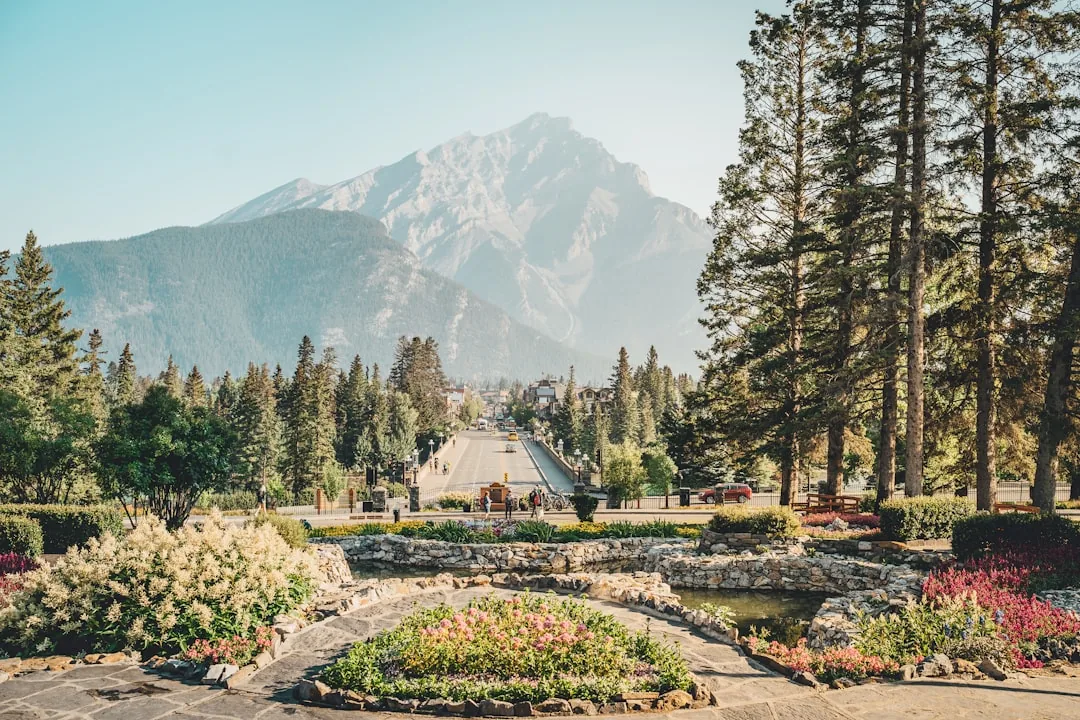 Garden Route — Sydafrikas mest spektakulära road trip 2026