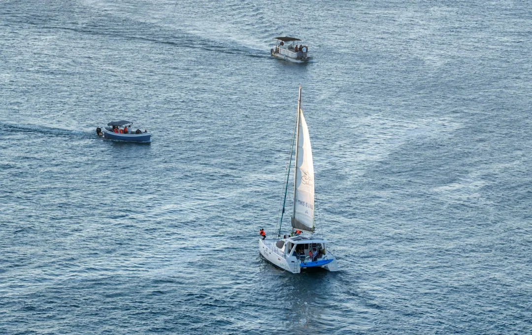 Knysna 2026 — Sydafrikas pärlby på Garden Route